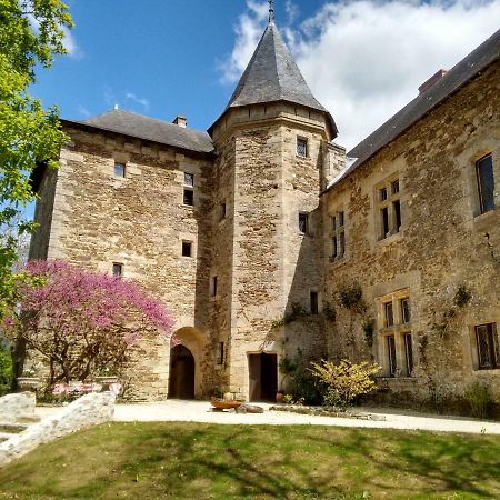 Chateau De Chanze Faye-d'Anjou Exterior foto