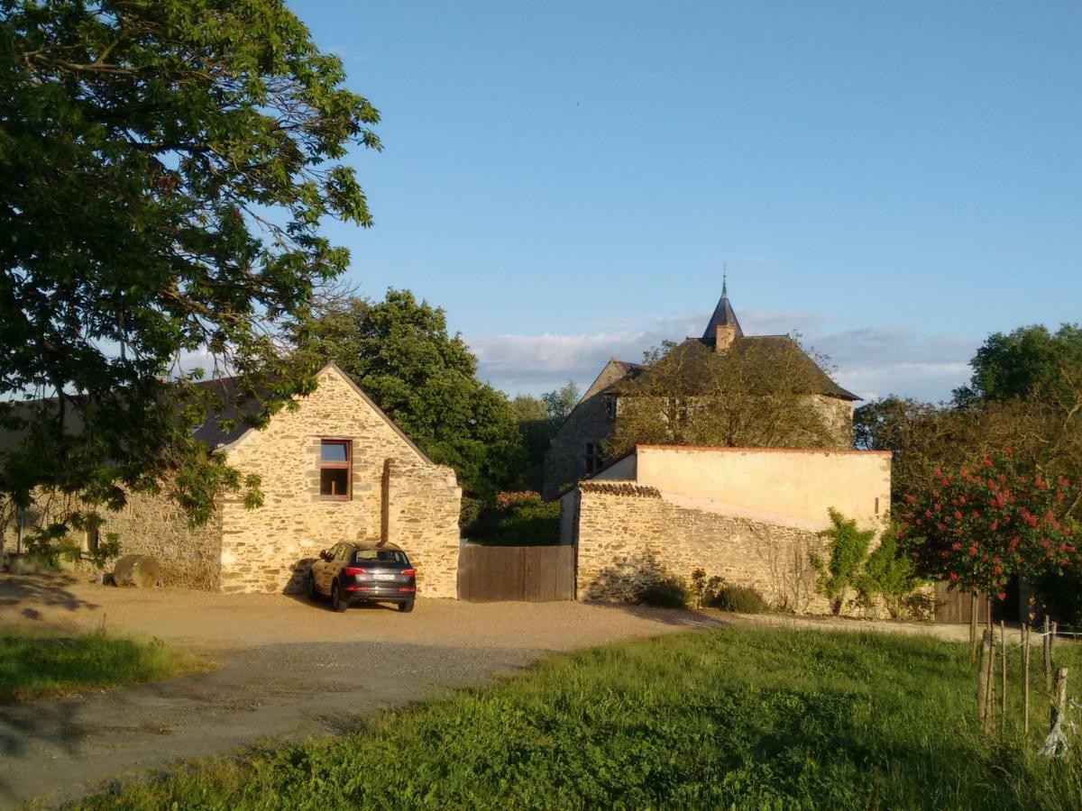 Chateau De Chanze Faye-d'Anjou Exterior foto